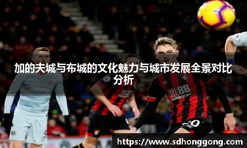 zoty中欧官方app下载