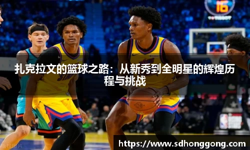 zoty中欧